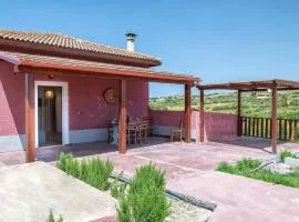 La valle degli ulivi