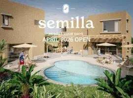 semilla 名護 沖縄