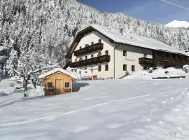 Pfaffingerhof Antholz