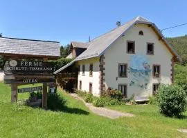 Les Pruniers - Orbey