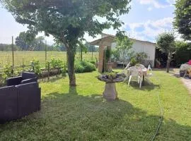 Relax in Campagna - Mugello Circuit