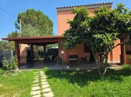 Villa Giulia Grande
