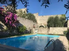 Antica Limonaia Lake view and pool