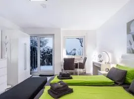 Schwarzwaldblick C App 2 mit Pool