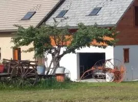 Vue sur embrun lac de serre-ponçon