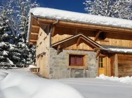 Morzine Panoramic