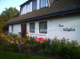 Haus Halligblick