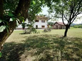 Ant Ra Prina Chiaro Pino