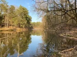 Bungalow im Wald am See - Biberspur