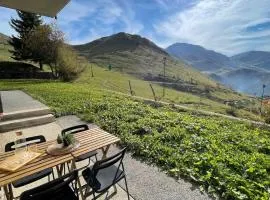 Tramonto sulla Pista a Prato Nevoso