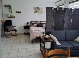 Meublé 3 étoiles en centre-ville