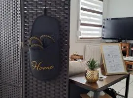 Meublé 3 étoiles en centre-ville