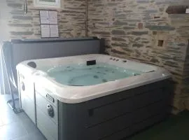 Grand Gîte Le Jeanneau Spa 15p