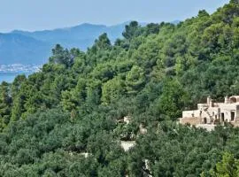 Agriturismo Bricco