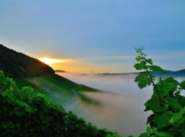 Winzerhof Düring, hotel i Iphofen