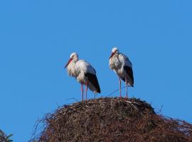 Ferienwohnung Storchenblick, hótel í Raisting