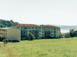 Hundefreundliches Apartment H1 005