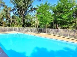 La maison de Fabien - Piscine