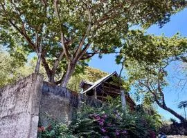 Balai Amihan Treehouse
