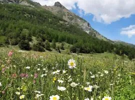 Le Nid des Rouges Gorges