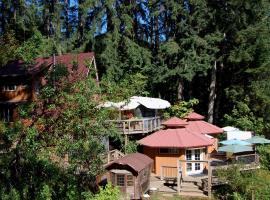 Hillside Deck Cottages - Rustic PNW Retreat cottage, hotel a Junction City