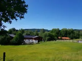 Urlaub Auf Der Aspen Ranch