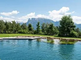 Schartneralm Lärche