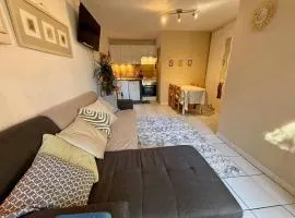 Maisonnette cosy dans les pins proche océan