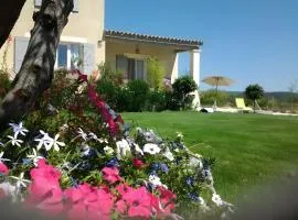 Gîte le Petit Luberon - Lisianthus