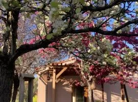 Petit nid pour oiseaux de passage