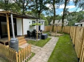 Sfeervol Chalet - Gelegen In bosrijkgebied van Drenthe - Rust en Natuur