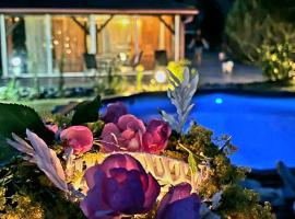 Ohana Boutique Chalet, hotel di Vistisoara
