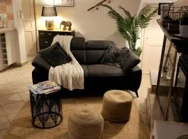 Maison bord de rivière & billard