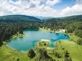 Entre Lacs et Sapins