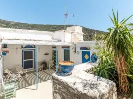 Andros Traditional House