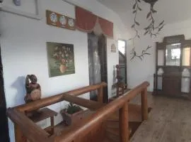 Pola apartmann01