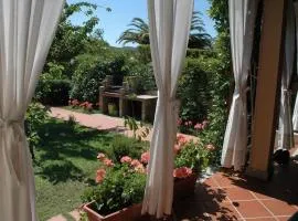 Bungalow Jasmin - 779218