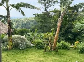 Kilimanjaro Forest Lodge And Camping Site