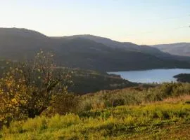 Cozy guest house with amazing view