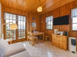 Meije 4 Chaleureux Appt Proche