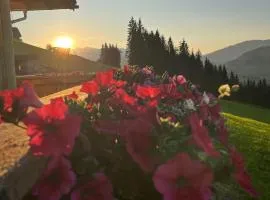 Ferienwohnungen Krapfenalm