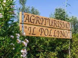 Agriturismo il Pollino