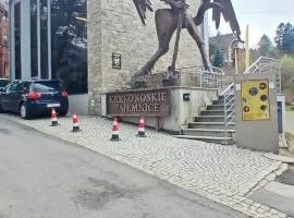 Apartament Mickiewicza 1