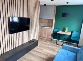 elli apartament Sieradz