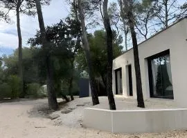 Maison Nichée Au Cœur Des Pins