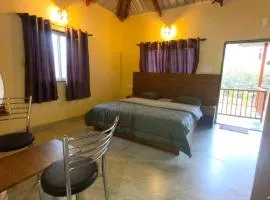 Mountain View Villa - Mulshi