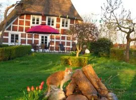 Luxus-Landhaus Nordsee, Sommer-Pool, Kaminofen, große Terrasse, Grill, 2 Schlafzimmer, Küche, Bad, WLAN,