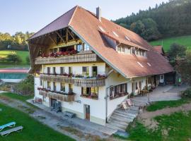 Jungbauernhof, Hotel in Mühlenbach