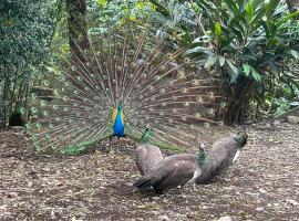 拇指園民宿, hotel v destinaci Guanxi