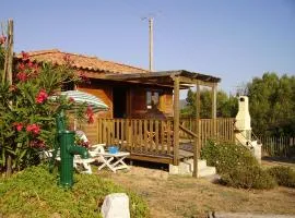 Petite Maison En Bois Exotique